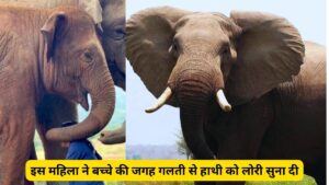 इस महिला ने बच्चे की जगह गलती से हाथी को लोरी सुना दी, मगर इसके बाद जो हाथी ने किया वो जान उड़ जाएंगे आपके भी होश