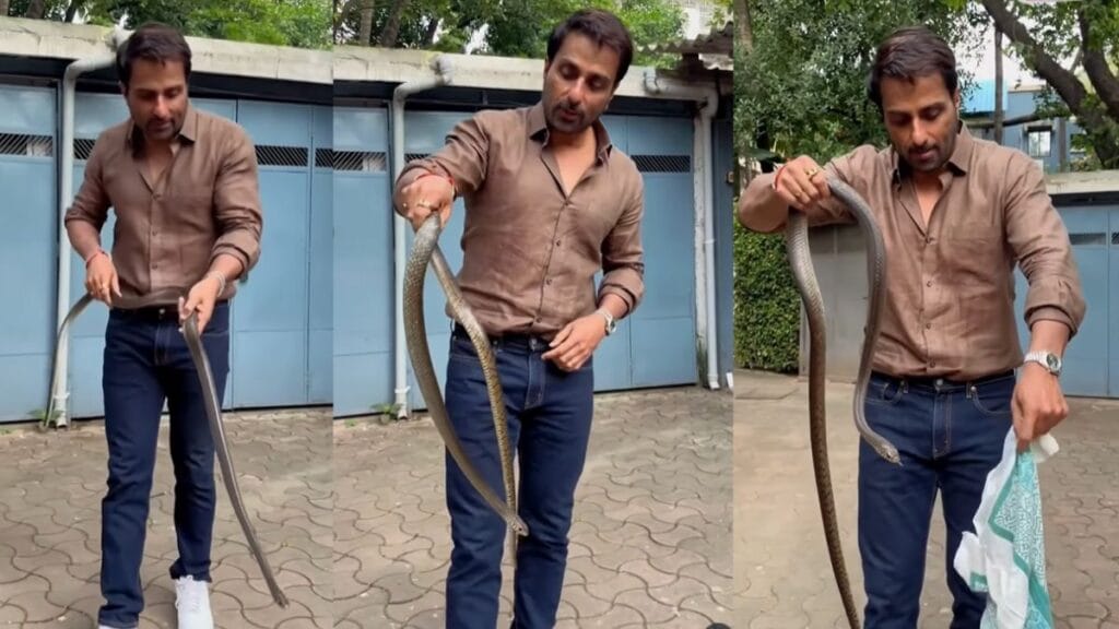 सोनू सूद एक बार फिर बने रियल लाइफ के हीरो, सोसायटी में घुसे जहरीले सांप को हाथ में पकड़कर किया रेस्क्यू, Video देखें