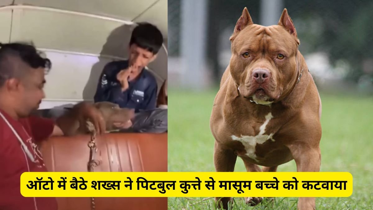 मुंबई में फिर इंसानियत हुई शर्मसार, ऑटो में बैठे शख्स ने पिटबुल कुत्ते से मासूम बच्चे को कटवाया, Video देखें, Mumbai Pitbull Viral Video