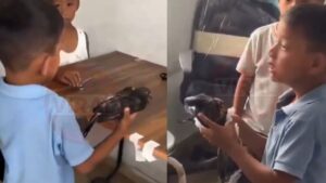 डॉक्टर साहब इसे बचा लो, अरुणाचल प्रदेश में घायल कबूतर को अस्पताल लेकर पहुंचा बच्चा, Video देख आप भी हो जाएंगे भावुक