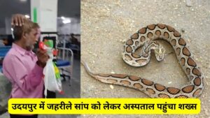 उदयपुर में जहरीले सांप को लेकर अस्पताल पहुंचा शख्स, डॉक्टर से बोला 'इसी ने काटा है' जल्दी इलाज कर दीजिए, Video देखें