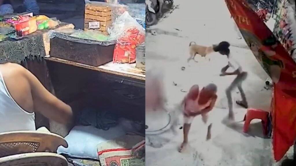 दुकान पर आराम फरमा रहे थे चाचा, अचानक 'मिर्ची गैंग' ने कर दिया ऐसा की Video देख उड़ जाएंगे आपके भी होश